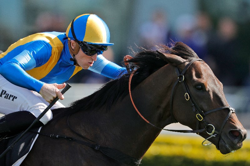 Townsville Betting Tips
