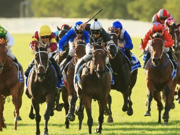 wyong tips for 14.05.2020