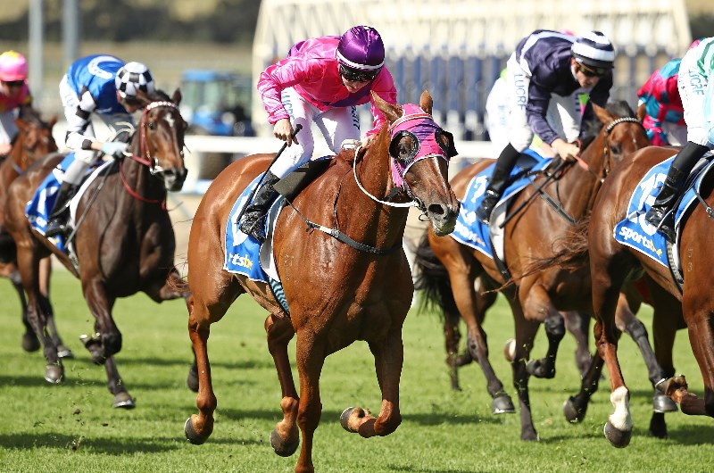 Pakenham Betting Tips