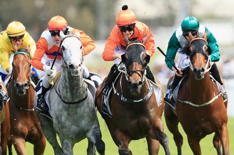 Tamworth Racing Tips for 23.01.2020