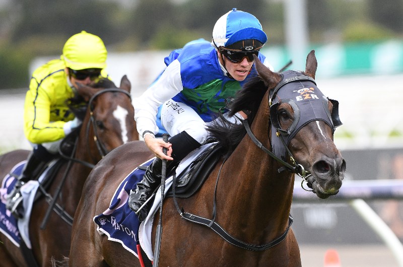 Will Price Megabet