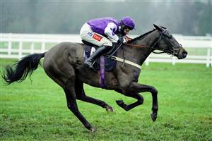 NEWBURY, ENGLAND - JANUARY 20: Daryl Jacob riding Fine Casting win The Play 3-2-Win At MansionBet Standard Open NH Flat Race at Newbury Racecourse on January 20, 2021 in Newbury, England. Due to the Coronavirus pandemic, owners along with the paying public will not be allowed to attend the meeting. (Photo by Alan Crowhurst/Getty Images)