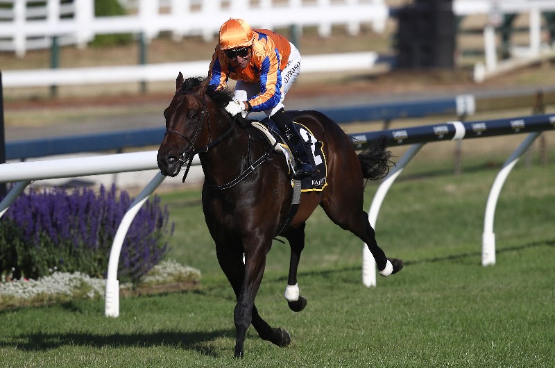 Karaka Million 3YO Classic Betting Tips