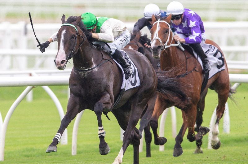 Randwick tips for 23.01.2021