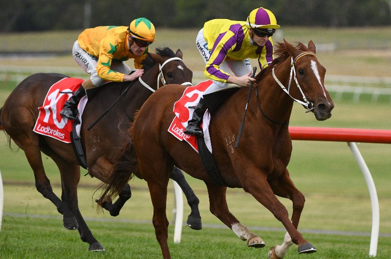 Sandown Betting Tips