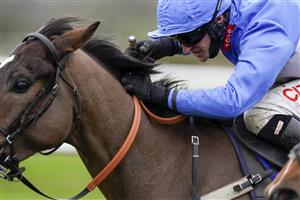 WINCANTON, ENGLAND - JANUARY 21: Adam Wedge riding Mack The Man (blue) clear the last to wi The Visit racingtv.com Handicap Hurdle at Wincanton Racecourse on January 21, 2021 in Wincanton, England. Due to the Coronavirus pandemic, owners along with the paying public will not be allowed to attend the meeting. (Photo by Alan Crowhurst/Getty Images)