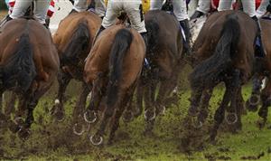 WINCANTON, ENGLAND - JANUARY 21: A general view as runners kick up the heavy going during The Timeform Premium Ratings Available At racingtv.com 'National Hunt' Maiden Hurdle at Wincanton Racecourse on January 21, 2021 in Wincanton, England. Due to the Coronavirus pandemic, owners along with the paying public will not be allowed to attend the meeting. (Photo by Alan Crowhurst/Getty Images)