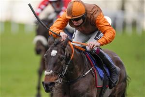 WINCANTON, ENGLAND - JANUARY 21: Aidan Coleman riding Sure Touch win The Racing TV Extra 4 Screens Live 'Newcomers' Standard Open NH Flat Race at Wincanton Racecourse on January 21, 2021 in Wincanton, England. Due to the Coronavirus pandemic, owners along with the paying public will not be allowed to attend the meeting. (Photo by Alan Crowhurst/Getty Images)