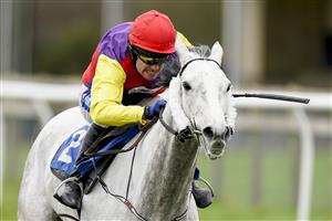 WINCANTON, ENGLAND - JANUARY 21: Tom Scudamore riding Brinkley clear the last to win The 100% RacingTV Profits Back To Racing Handicap Hurdle at Wincanton Racecourse on January 21, 2021 in Wincanton, England. Due to the Coronavirus pandemic, owners along with the paying public will not be allowed to attend the meeting. (Photo by Alan Crowhurst/Getty Images)