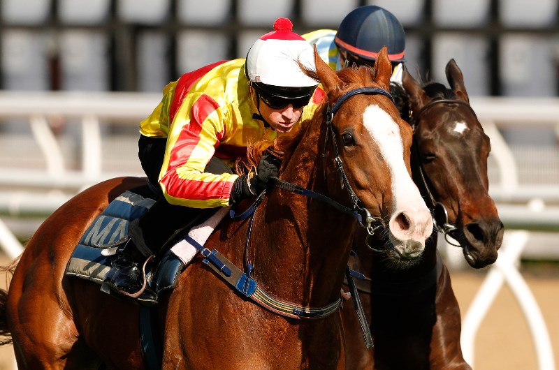 Big Bets for 23.01.2021