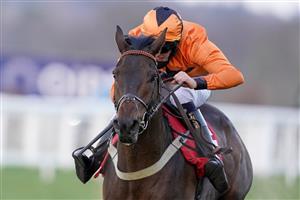 ASCOT, ENGLAND - JANUARY 23: Chester Williams riding Gladiateur Allen clear the last to win The Matchbook Betting Exchange British EBF 'National Hunt' Novices' Hurdle at Ascot Racecourse on January 23, 2021 in Ascot, England. Due to the Coronavirus pandemic, owners along with the paying public will not be allowed to attend the meeting. (Photo by Alan Crowhurst/Getty Images)