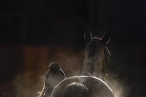 ASCOT, ENGLAND - JANUARY 23: Steam rises from a runner as it returns to the stables after racing at Ascot Racecourse on January 23, 2021 in Ascot, England. Due to the Coronavirus pandemic, owners along with the paying public will not be allowed to attend the meeting. (Photo by Alan Crowhurst/Getty Images)
