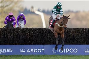 ASCOT, ENGLAND - JANUARY 23: Charlie Hammond riding Enqarde clear the last to win The Matchbook Best Odds Handicap Chase at Ascot Racecourse on January 23, 2021 in Ascot, England. Due to the Coronavirus pandemic, owners along with the paying public will not be allowed to attend the meeting. (Photo by Alan Crowhurst/Getty Images)