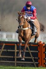 ASCOT, ENGLAND - JANUARY 23: Adrian Heskin riding Tritonic on their way to winning The bet365 Juvenile Hurdle at Ascot Racecourse on January 23, 2021 in Ascot, England. Due to the Coronavirus pandemic, owners along with the paying public will not be allowed to attend the meeting. (Photo by Alan Crowhurst/Getty Images)
