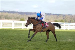 ASCOT, ENGLAND - JANUARY 23: Harry Skelton riding Roksana clear the last to win The Matchbook Betting Podcast Mares' Hurdle at Ascot Racecourse on January 23, 2021 in Ascot, England. Due to the Coronavirus pandemic, owners along with the paying public will not be allowed to attend the meeting. (Photo by Alan Crowhurst/Getty Images)