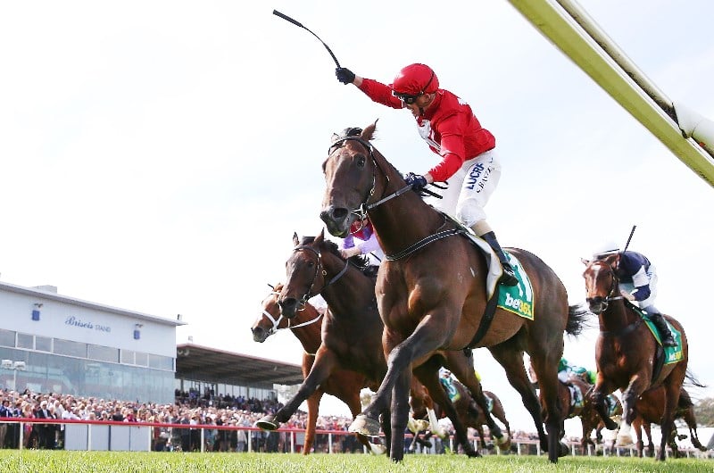Geelong Betting Tips