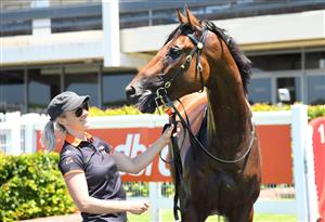 MELBOURNE, AUSTRALIA - JANUARY 23: Galactus after winning Race 2, the Thoroughbred Club Handicap, during Melbourne Racing at Sandown Racecourse on January 23, 2021 in Melbourne, Australia. (Photo by Vince Caligiuri/Getty Images)