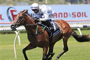 SYDNEY, AUSTRALIA - JANUARY 23: Robbie Dolan on Stay Inside wins race 1 the Paul Hoffmann Handicap during Sydney Racing at Royal Randwick Racecourse on January 23, 2021 in Sydney, Australia. (Photo by Mark Evans/Getty Images)