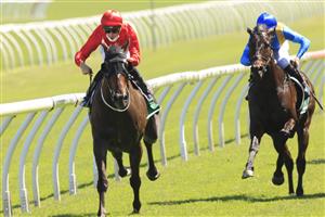 SYDNEY, AUSTRALIA - JANUARY 23: Sam Clipperton on Sacramento wins race 6 the Heineken Handicap during Sydney Racing at Royal Randwick Racecourse on January 23, 2021 in Sydney, Australia. (Photo by Mark Evans/Getty Images)