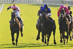 SYDNEY, AUSTRALIA - JANUARY 23: Josh Parr on Soldier Of Love (blue) wins race 10 the Drinkwise Mile during Sydney Racing at Royal Randwick Racecourse on January 23, 2021 in Sydney, Australia. (Photo by Mark Evans/Getty Images)