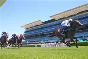SYDNEY, AUSTRALIA - JANUARY 23: Robbie Dolan on Stay Inside wins race 1 the Paul Hoffmann Handicap during Sydney Racing at Royal Randwick Racecourse on January 23, 2021 in Sydney, Australia. (Photo by Mark Evans/Getty Images)