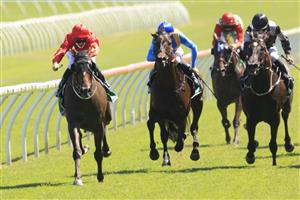 SYDNEY, AUSTRALIA - JANUARY 23: Sam Clipperton on Sacramento wins race 6 the Heineken Handicap during Sydney Racing at Royal Randwick Racecourse on January 23, 2021 in Sydney, Australia. (Photo by Mark Evans/Getty Images)