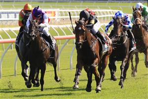 SYDNEY, AUSTRALIA - JANUARY 23: Rachel King on Le Lude wins race 7 the Sky Racing Active Handicap during Sydney Racing at Royal Randwick Racecourse on January 23, 2021 in Sydney, Australia. (Photo by Mark Evans/Getty Images)