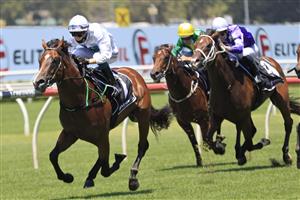 SYDNEY, AUSTRALIA - JANUARY 23: Robbie Dolan on Stay Inside wins race 1 the Paul Hoffmann Handicap during Sydney Racing at Royal Randwick Racecourse on January 23, 2021 in Sydney, Australia. (Photo by Mark Evans/Getty Images)
