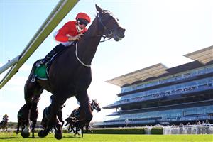 SYDNEY, AUSTRALIA - JANUARY 23: Sam Clipperton on Sacramento wins race 6 the Heineken Handicap during Sydney Racing at Royal Randwick Racecourse on January 23, 2021 in Sydney, Australia. (Photo by Mark Evans/Getty Images)