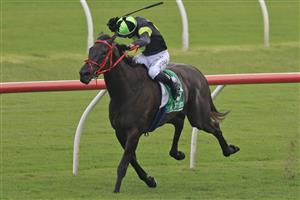 SYDNEY, AUSTRALIA - JANUARY 23: Brenton Avdulla on Invinciano wins race 9 the TAB Handicap during Sydney Racing at Royal Randwick Racecourse on January 23, 2021 in Sydney, Australia. (Photo by Mark Evans/Getty Images)