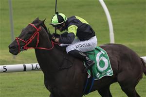 SYDNEY, AUSTRALIA - JANUARY 23: Brenton Avdulla on Invinciano wins race 9 the TAB Handicap during Sydney Racing at Royal Randwick Racecourse on January 23, 2021 in Sydney, Australia. (Photo by Mark Evans/Getty Images)