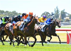 MELBOURNE, AUSTRALIA - JANUARY 23: Damian Lane riding Galactus to win Race 2, the Thoroughbred Club Handicap, during Melbourne Racing at Sandown Racecourse on January 23, 2021 in Melbourne, Australia. (Photo by Vince Caligiuri/Getty Images)