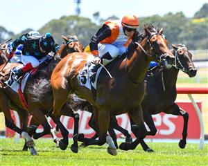 MELBOURNE, AUSTRALIA - JANUARY 23: Damian Lane riding Galactus to win Race 2, the Thoroughbred Club Handicap, during Melbourne Racing at Sandown Racecourse on January 23, 2021 in Melbourne, Australia. (Photo by Vince Caligiuri/Getty Images)
