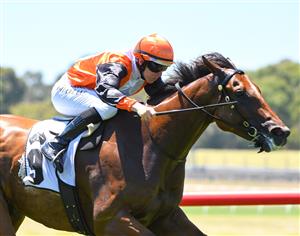 MELBOURNE, AUSTRALIA - JANUARY 23: Damian Lane riding Galactus to win Race 2, the Thoroughbred Club Handicap, during Melbourne Racing at Sandown Racecourse on January 23, 2021 in Melbourne, Australia. (Photo by Vince Caligiuri/Getty Images)