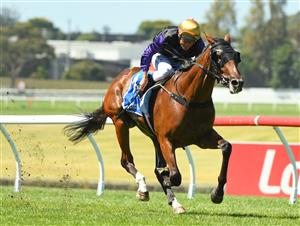 MELBOURNE, AUSTRALIA - JANUARY 23: Damien Oliver riding Milton Park winning race 6, the Tile Importer Handicap, during Melbourne Racing at Sandown Racecourse on January 23, 2021 in Melbourne, Australia. (Photo by Vince Caligiuri/Getty Images)