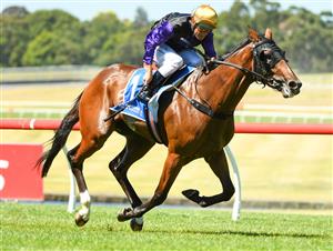 MELBOURNE, AUSTRALIA - JANUARY 23: Damien Oliver riding Milton Park winning race 6, the Tile Importer Handicap, during Melbourne Racing at Sandown Racecourse on January 23, 2021 in Melbourne, Australia. (Photo by Vince Caligiuri/Getty Images)