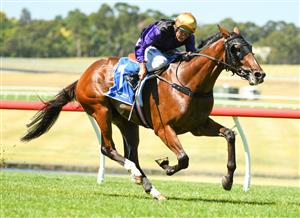 MELBOURNE, AUSTRALIA - JANUARY 23: Damien Oliver riding Milton Park winning race 6, the Tile Importer Handicap, during Melbourne Racing at Sandown Racecourse on January 23, 2021 in Melbourne, Australia. (Photo by Vince Caligiuri/Getty Images)