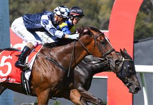 MELBOURNE, AUSTRALIA - JANUARY 23: Jamie Kah riding Grinzinger Allee defeating Campbell Rawiller riding Holbien in Race 7, the Ladbrokes Odds Boost Handicap, during Melbourne Racing at Sandown Racecourse on January 23, 2021 in Melbourne, Australia. (Photo by Vince Caligiuri/Getty Images)