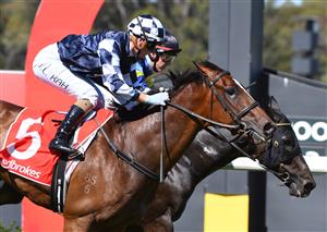 MELBOURNE, AUSTRALIA - JANUARY 23: Jamie Kah riding Grinzinger Allee defeating Campbell Rawiller riding Holbien in Race 7, the Ladbrokes Odds Boost Handicap, during Melbourne Racing at Sandown Racecourse on January 23, 2021 in Melbourne, Australia. (Photo by Vince Caligiuri/Getty Images)