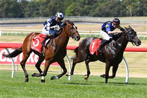 MELBOURNE, AUSTRALIA - JANUARY 23: Jamie Kah riding Grinzinger Allee defeating Campbell Rawiller riding Holbien in Race 7, the Ladbrokes Odds Boost Handicap, during Melbourne Racing at Sandown Racecourse on January 23, 2021 in Melbourne, Australia. (Photo by Vince Caligiuri/Getty Images)