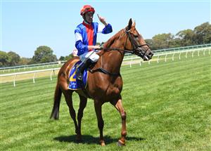 MELBOURNE, AUSTRALIA - JANUARY 23: Jordan Childs riding Mosh Music after winning Race 4, the Clanbrooke Racing Handicap, during Melbourne Racing at Sandown Racecourse on January 23, 2021 in Melbourne, Australia. (Photo by Vince Caligiuri/Getty Images)