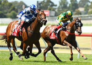 MELBOURNE, AUSTRALIA - JANUARY 23: Lachlan King riding Kansino winning race 5, the Ladbrokes Easy Form Handicap, during Melbourne Racing at Sandown Racecourse on January 23, 2021 in Melbourne, Australia. (Photo by Vince Caligiuri/Getty Images)