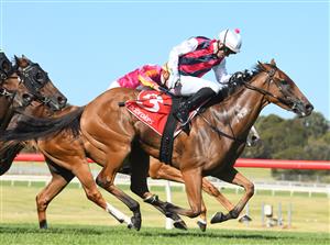 MELBOURNE, AUSTRALIA - JANUARY 23: Lachlan King riding King Magnus winning Race 8, the Mrc Members Handicap, during Melbourne Racing at Sandown Racecourse on January 23, 2021 in Melbourne, Australia. (Photo by Vince Caligiuri/Getty Images)