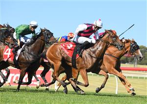 MELBOURNE, AUSTRALIA - JANUARY 23: Lachlan King riding King Magnus winning Race 8, the Mrc Members Handicap, during Melbourne Racing at Sandown Racecourse on January 23, 2021 in Melbourne, Australia. (Photo by Vince Caligiuri/Getty Images)