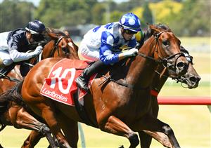 MELBOURNE, AUSTRALIA - JANUARY 23: Lachlan King riding Kansino winning race 5, the Ladbrokes Easy Form Handicap, during Melbourne Racing at Sandown Racecourse on January 23, 2021 in Melbourne, Australia. (Photo by Vince Caligiuri/Getty Images)