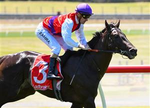 MELBOURNE, AUSTRALIA - JANUARY 23: Mark Zahra riding Artorius to win Race 1, the Ladbrokes Switch Handicap, during Melbourne Racing at Sandown Racecourse on January 23, 2021 in Melbourne, Australia. (Photo by Vince Caligiuri/Getty Images)