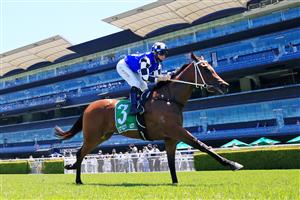 SYDNEY, AUSTRALIA - JANUARY 23: Tommy Berry on The First Of May wins race 3 the TAB Highway Handicap during Sydney Racing at Royal Randwick Racecourse on January 23, 2021 in Sydney, Australia. (Photo by Mark Evans/Getty Images)