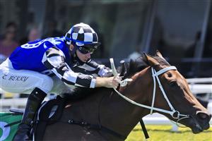 SYDNEY, AUSTRALIA - JANUARY 23: Tommy Berry on The First Of May wins race 3 the TAB Highway Handicap during Sydney Racing at Royal Randwick Racecourse on January 23, 2021 in Sydney, Australia. (Photo by Mark Evans/Getty Images)