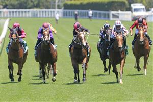 SYDNEY, AUSTRALIA - JANUARY 23: Tommy Berry on Art Cadeau (maroon/white) wins race 2 the TAB Highway Handicap during Sydney Racing at Royal Randwick Racecourse on January 23, 2021 in Sydney, Australia. (Photo by Mark Evans/Getty Images)