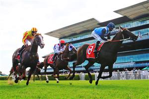 SYDNEY, AUSTRALIA - JANUARY 23: Tommy Berry on Bandersnatch wins race 8 the Fujitsu General Carrington Stakes during Sydney Racing at Royal Randwick Racecourse on January 23, 2021 in Sydney, Australia. (Photo by Mark Evans/Getty Images)